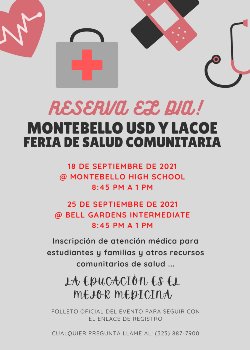 Community Health Fair Spanish